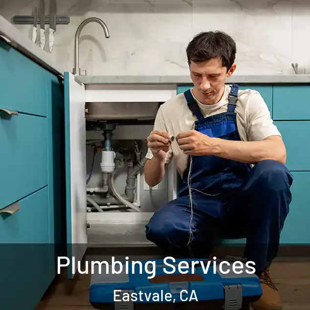 Plumbing Services Eastvale, CA